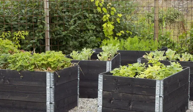 Slik setter du sammen din egen plantekasse