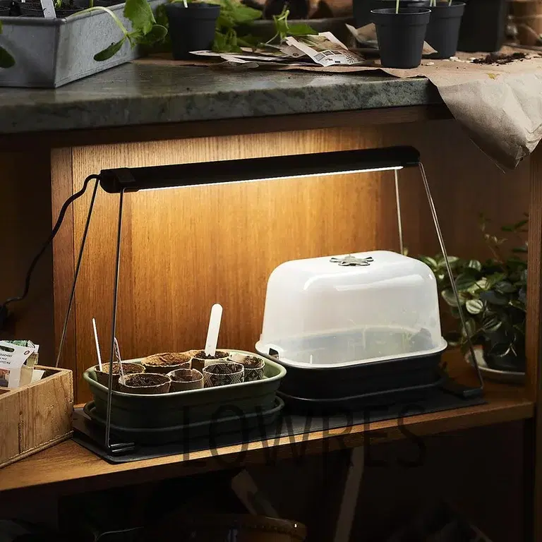 Slik får du vanskelige frø til å spire 