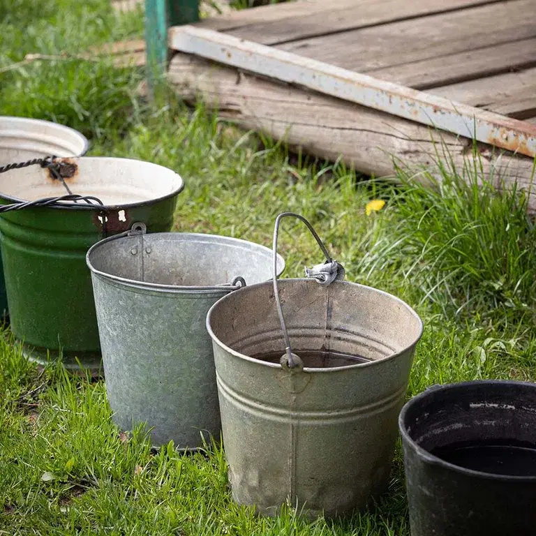 Vanningsforbud – slik får du plantene til å overleve 