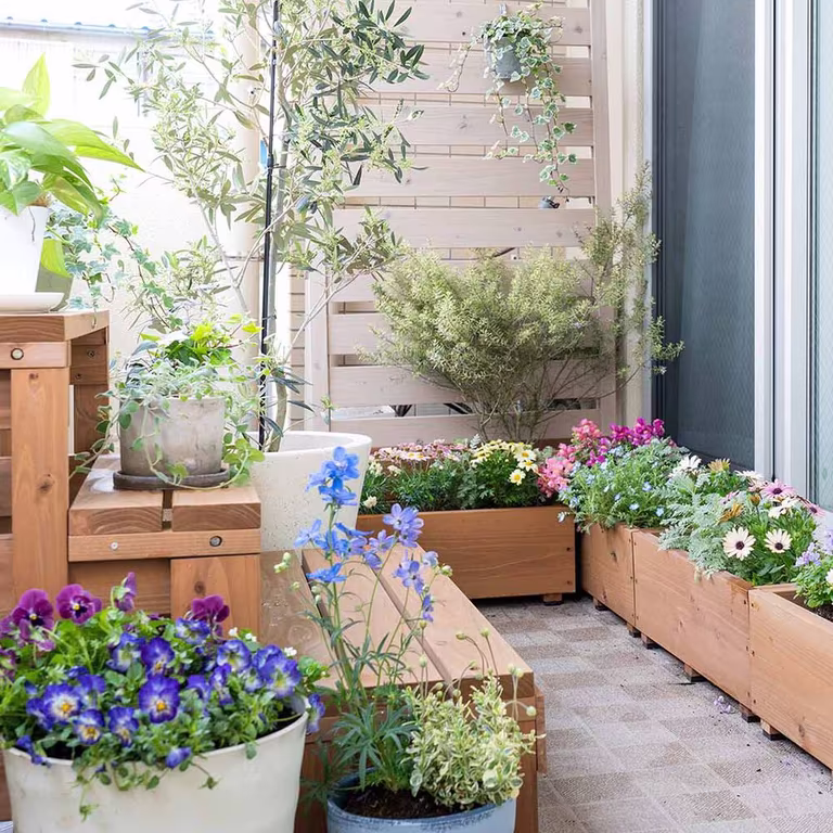 Planter på balkong og terrasse