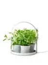 Plant lighting