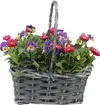 Floral groups