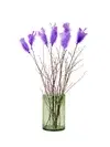 Flowers in a bunch