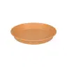Saucer Green basics