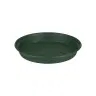Saucer Green Basics