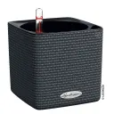 Selvvanningspotte Cube