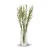 Dried flowers