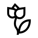 Blomstringstid Apr - May