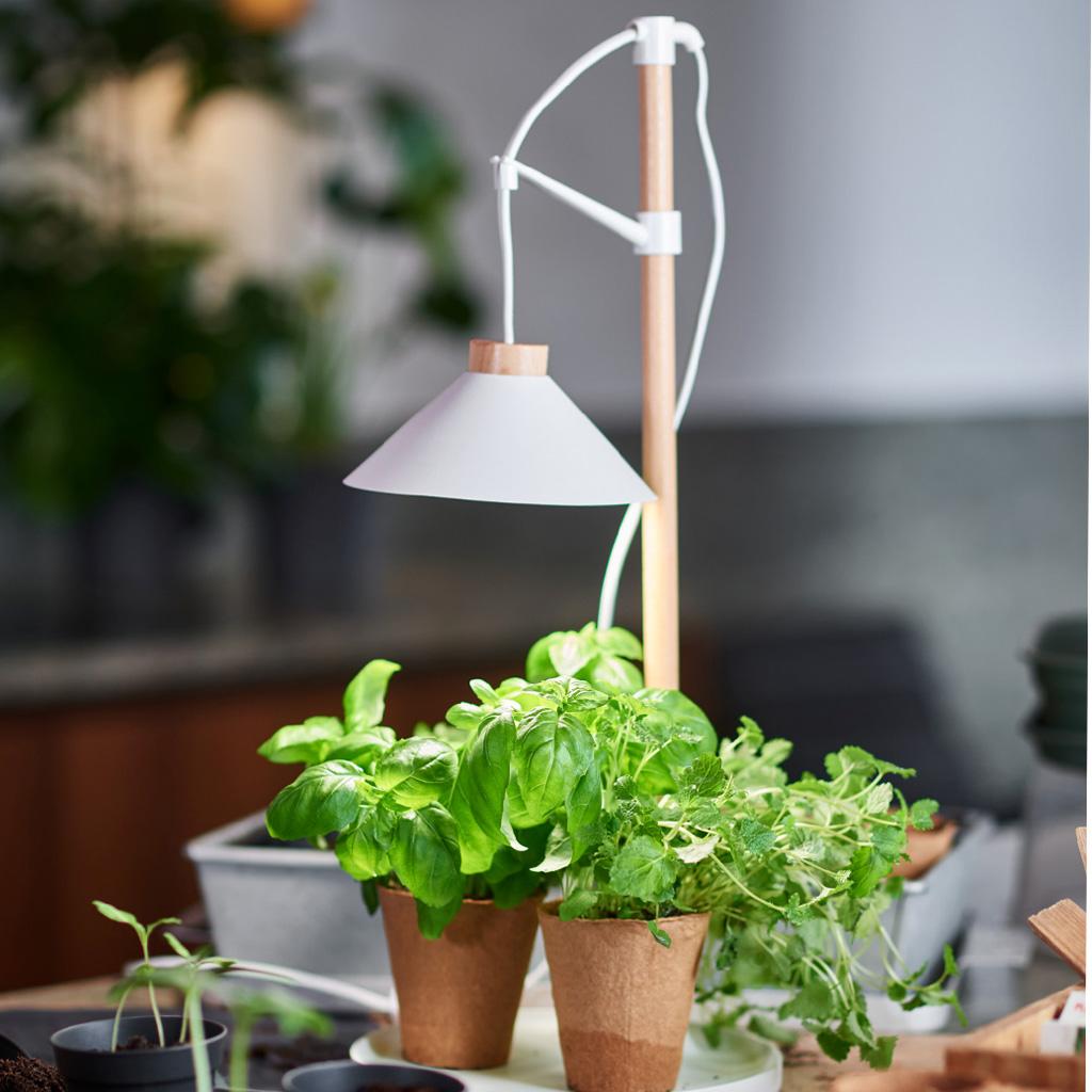 Plant lighting