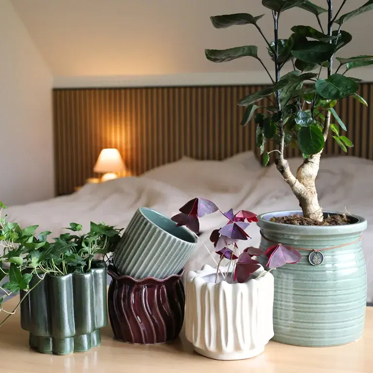 Dette er pottetrendene for 2025