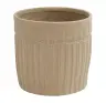 Pot Elma