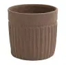 Pot Elma