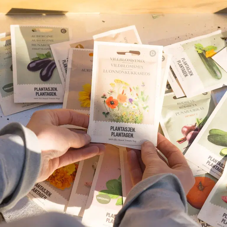 Frøskole – så fra frø innendørs