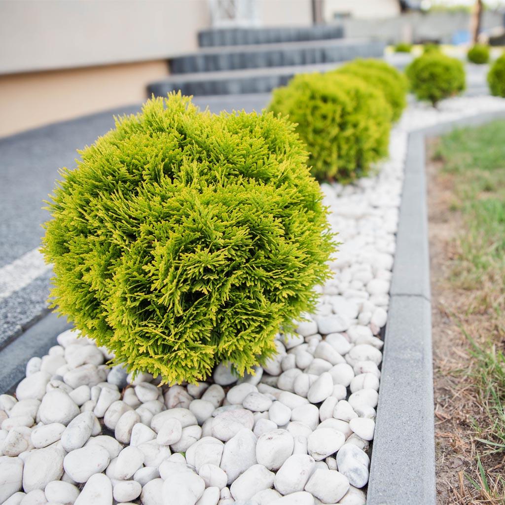 Garden decorations