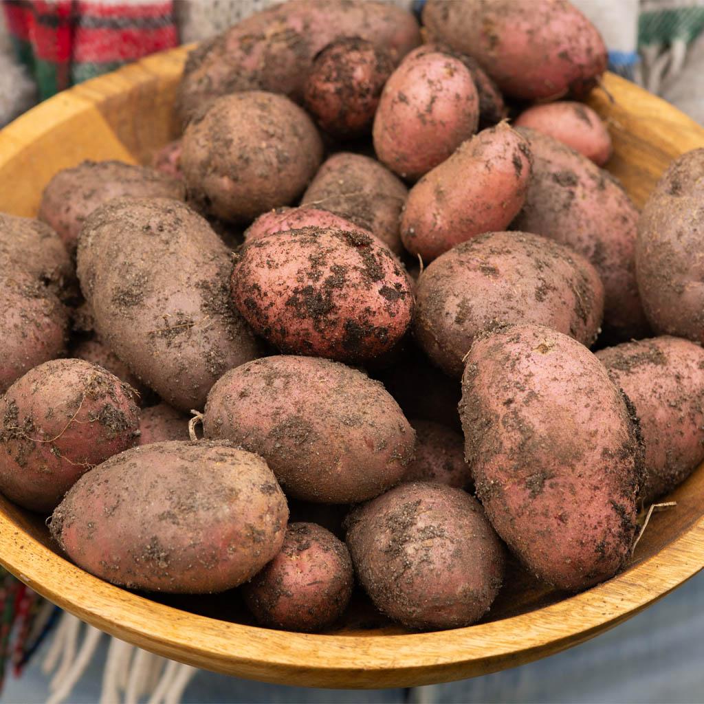 Potatoes, onions and mushrooms