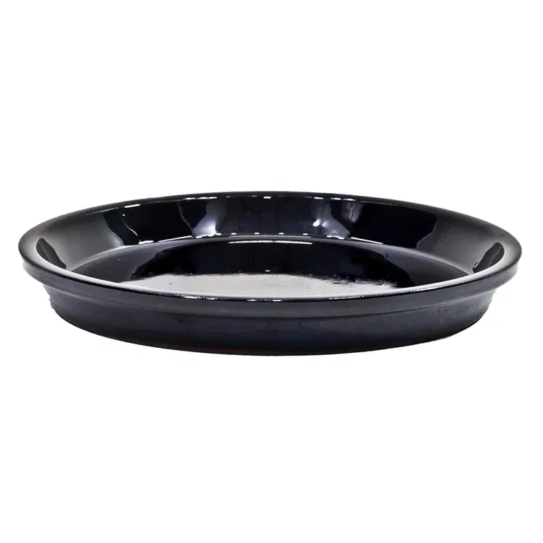 Saucer Nova