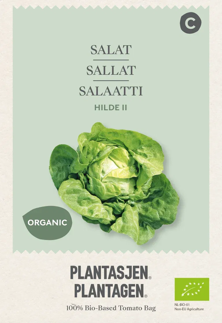 Salat 'Hilde II'