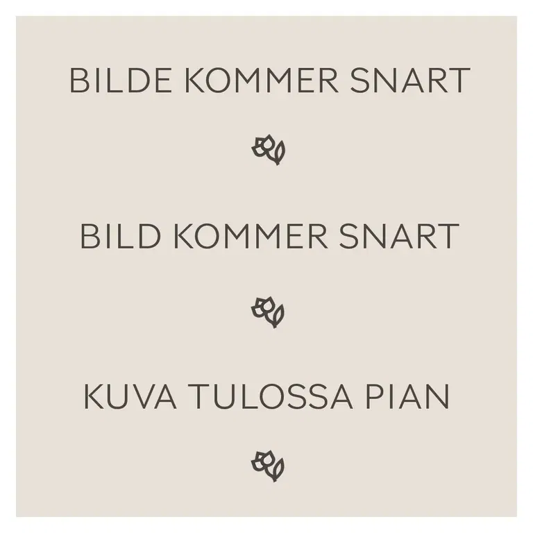 Vårlyng 'Winter Ladies'