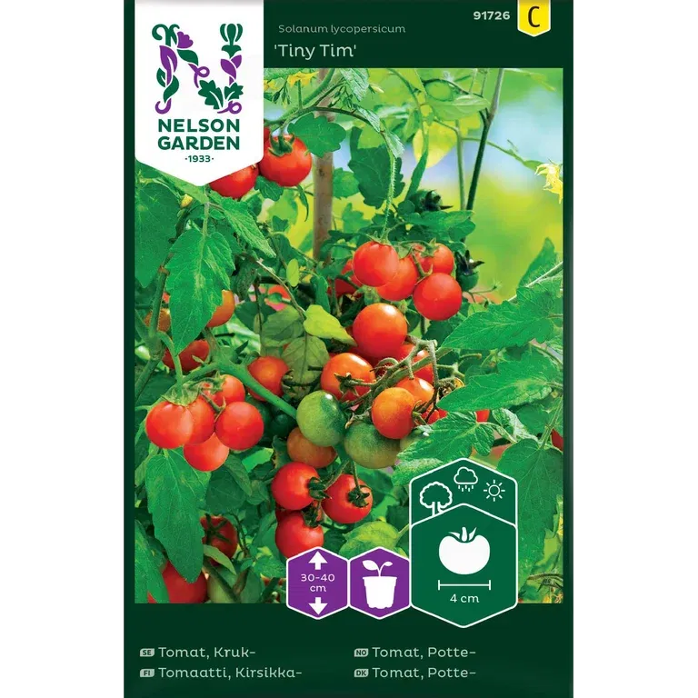 Cherrytomat 'Tiny Tim'