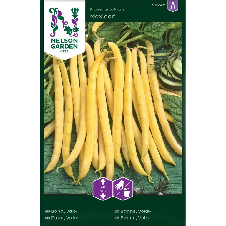 Voksbønne 'Maxidor'