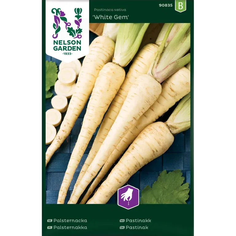 Pastinakk 'White Gem'