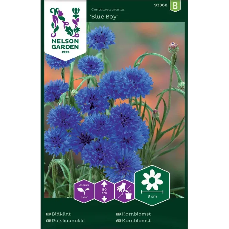 Blåklint, Blue Boy, blå
