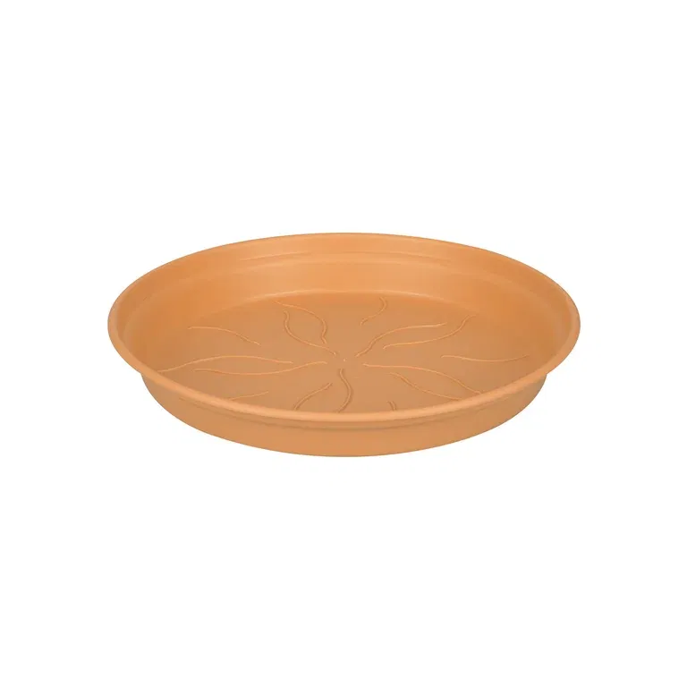 Saucer Green basics