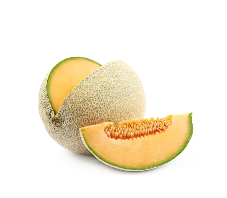 All N. Cucumis 'Cantaloupe' 10,5 cm