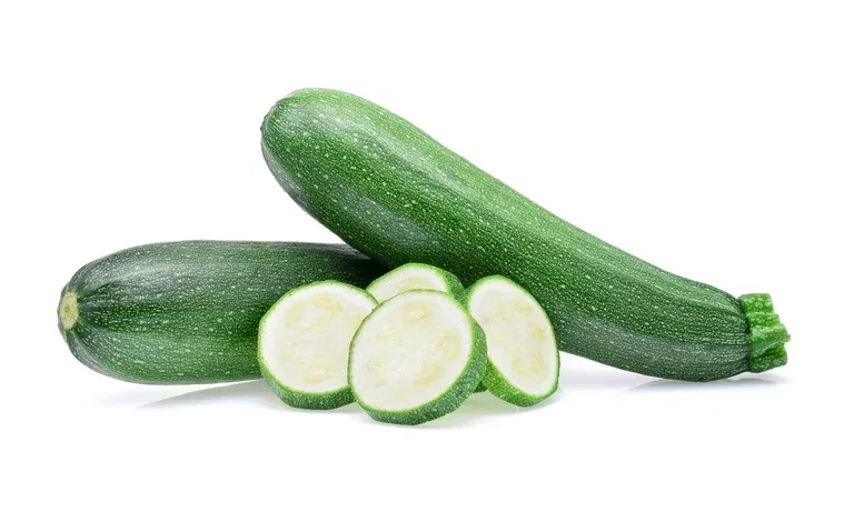 All N. Cucurbita Squash 'Ladoga' 10,5 cm