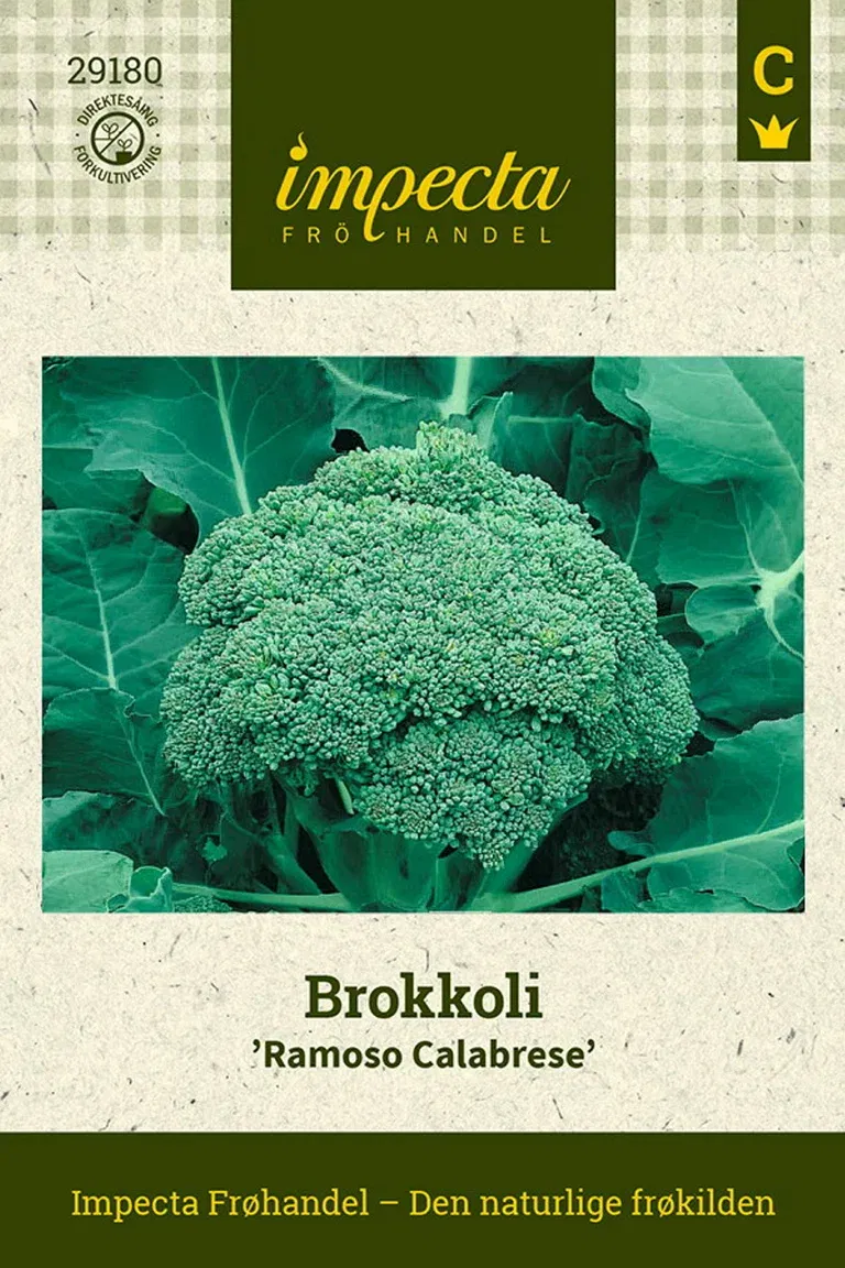 Brokkoli 'Ramoso Calabrese'
