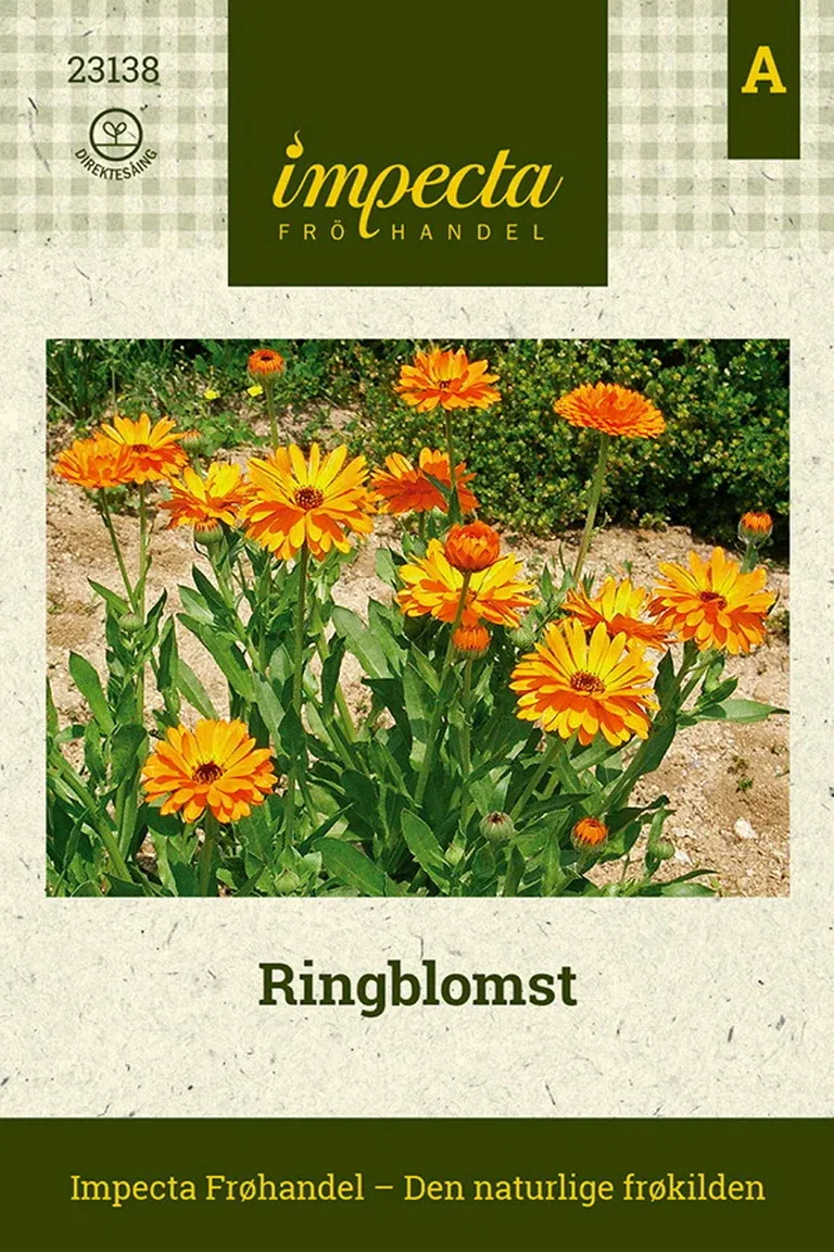 Calendula officinalis