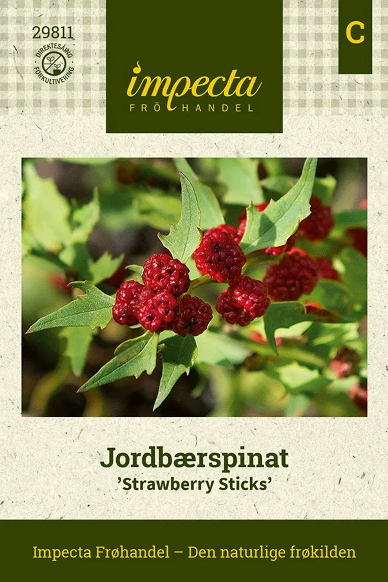 Jordbærspinat 'Strawberry Sticks'