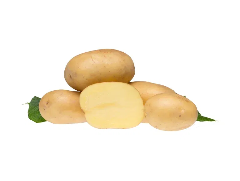 Potato Colomba 2,5 KG
