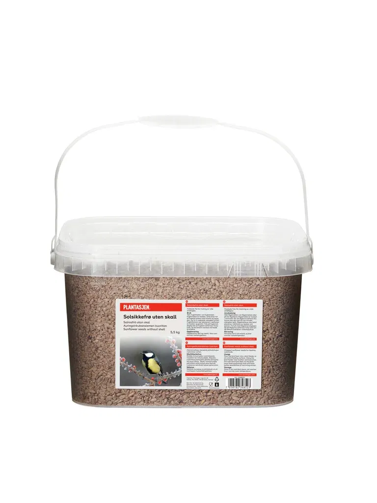 Sunflower seed grains in a buc