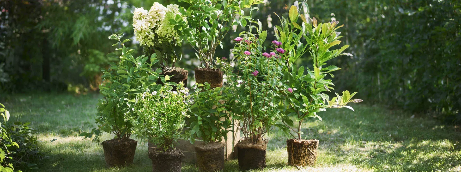 This is an image illustration of Garden furniture – up to 40% off