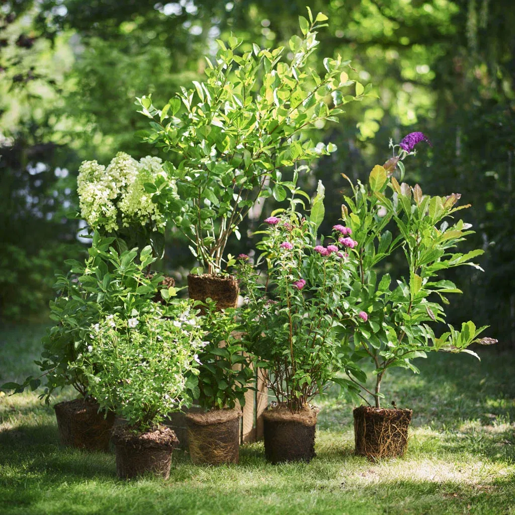 Garden furniture – up to 40% off