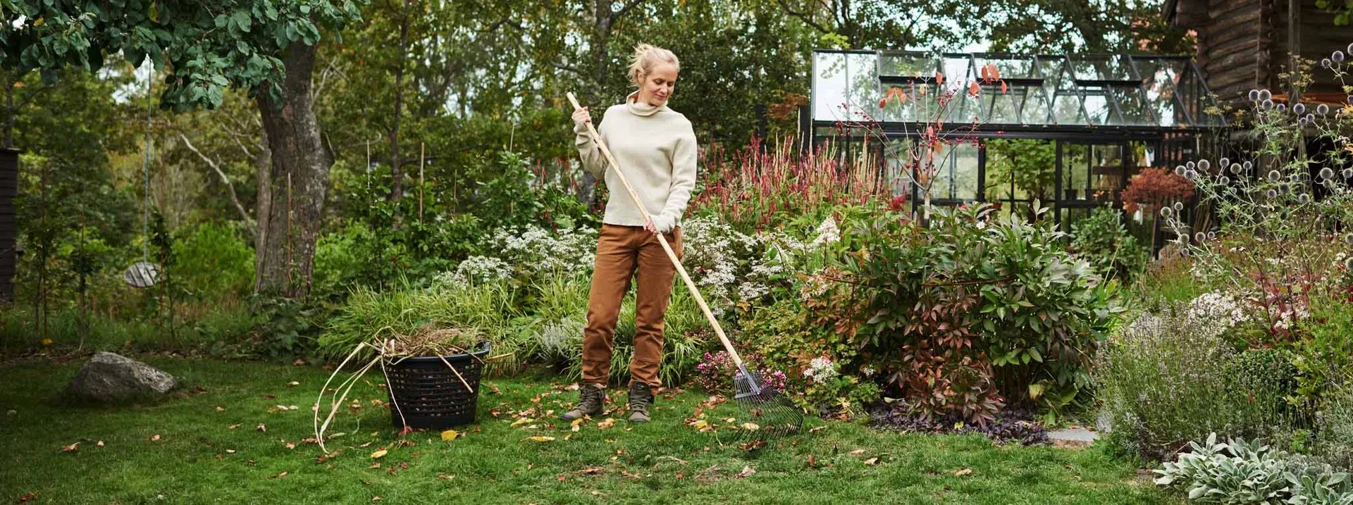 This is an image illustration of All large perennials: 3 for the price of 2