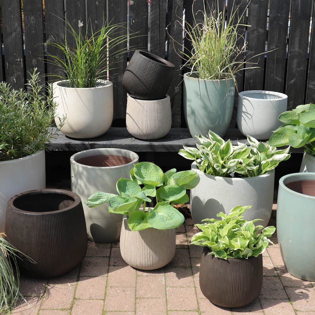 Image of Pots