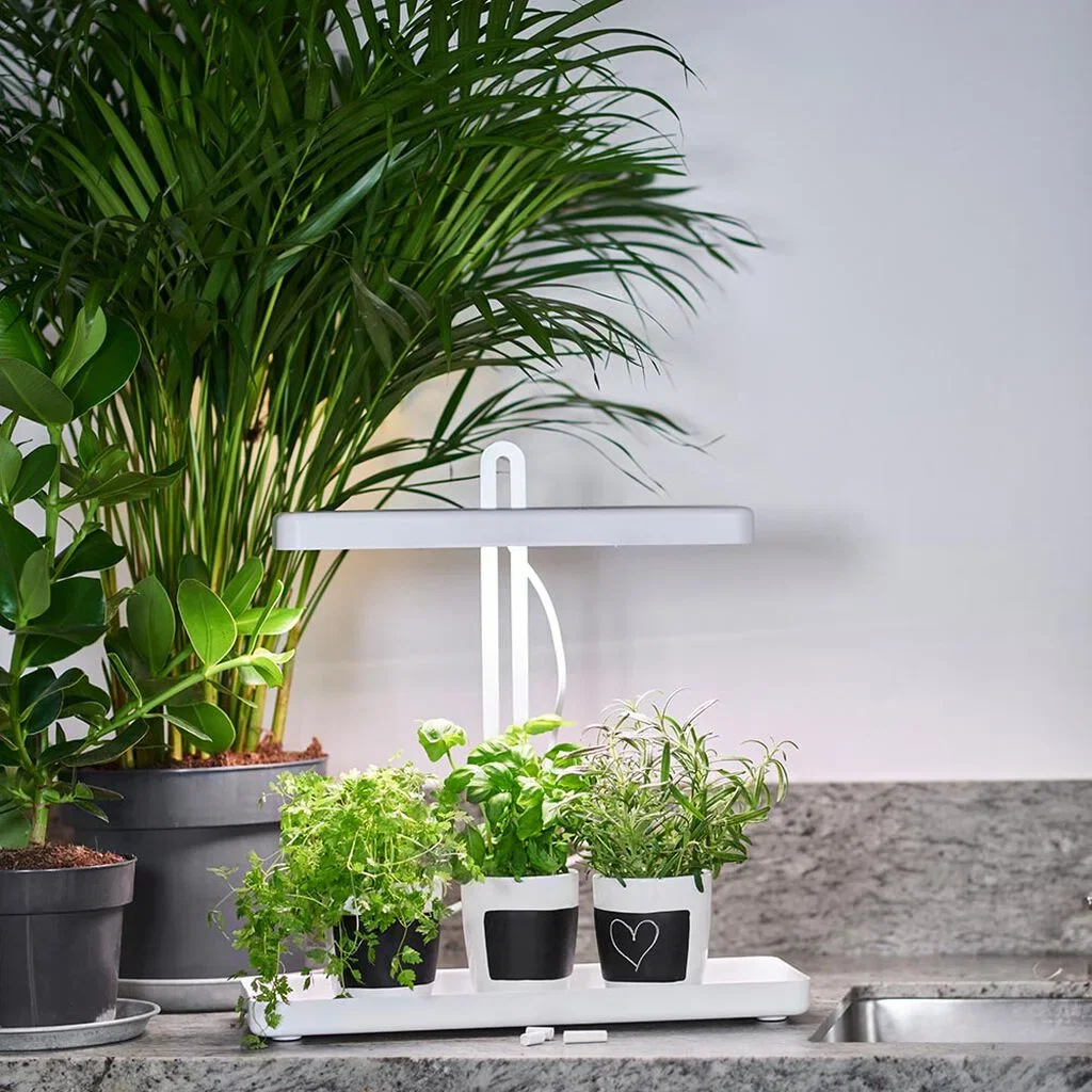 Plantebelysning – fakta og tips om vekstlys og plantelys