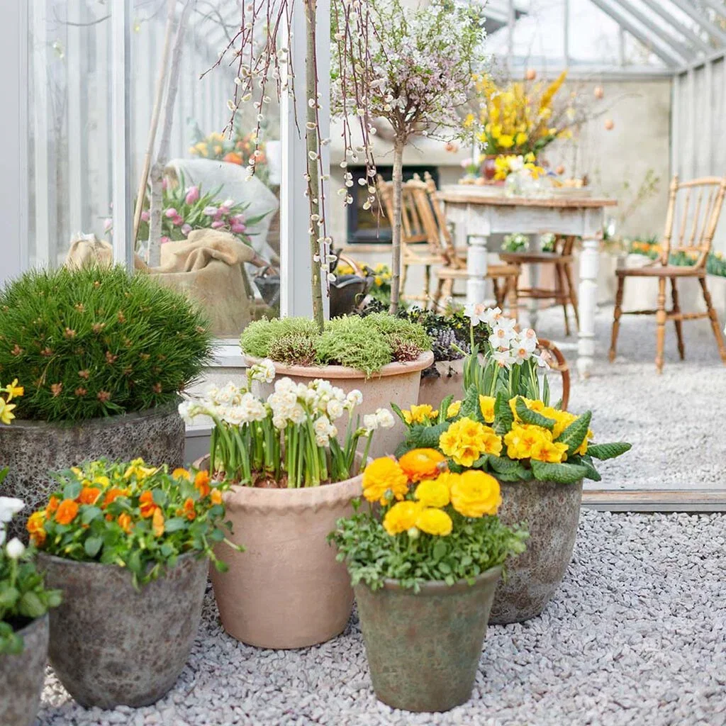 Påskeblomster – gjør det fint til påske med fargerike blomster