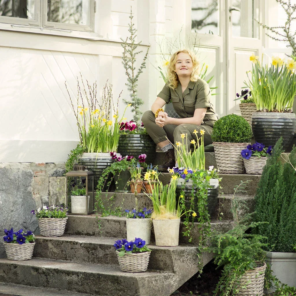 Vårblomster i potte – pynt inngangspartiet til vår