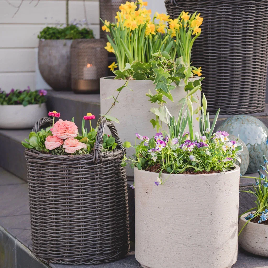 Vårblomster i potte – pynt inngangspartiet til vår