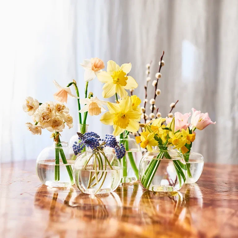 Påskeblomster – gjør det fint til påske med fargerike blomster