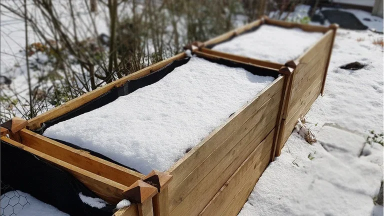 Januar – dette kan du så og dyrke 