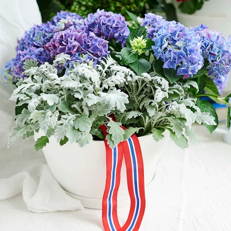 Feir 17. mai med fargerike blomster