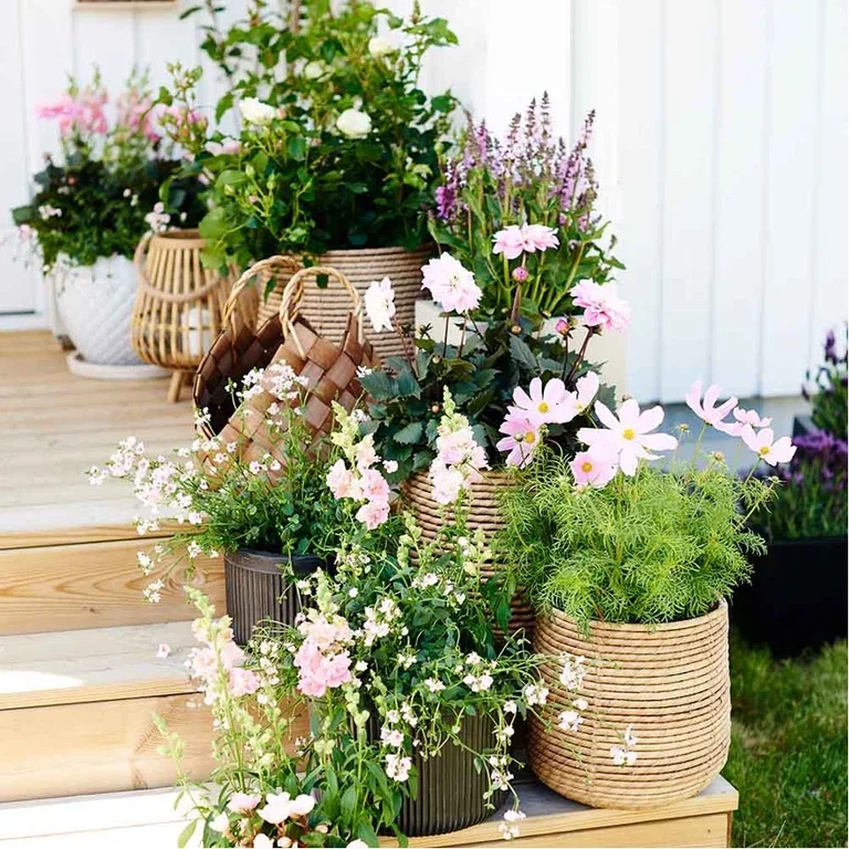 Sommerblomster i potter – la det blomstre i sol og skygge