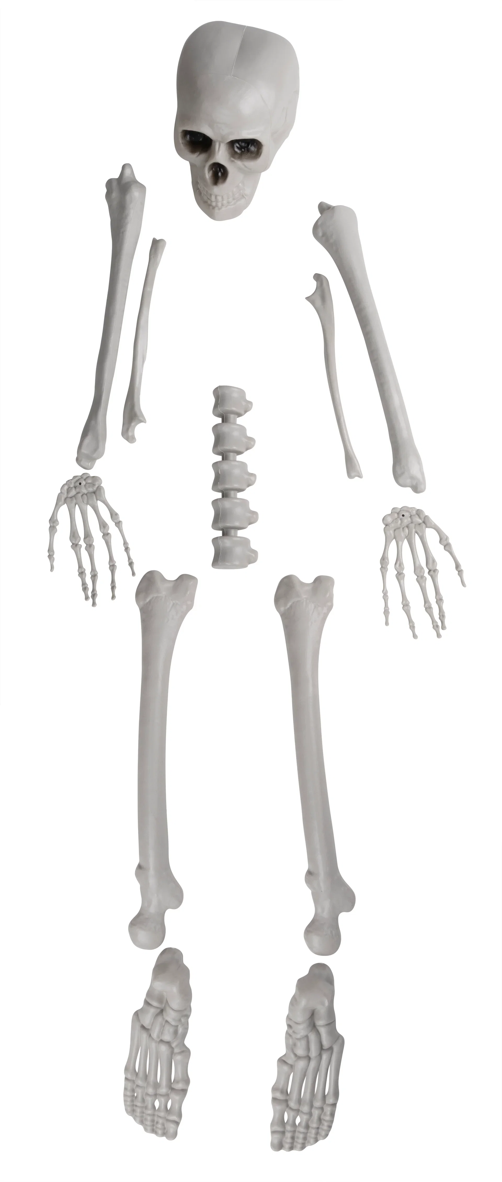 Skeleton parts H160 