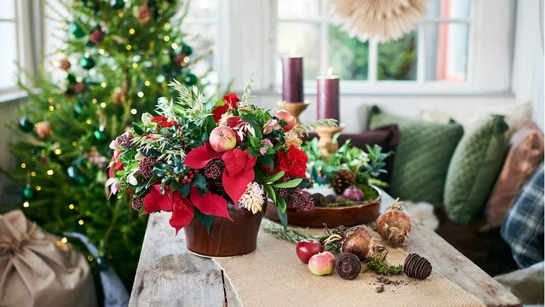 Adventspynt med planter 