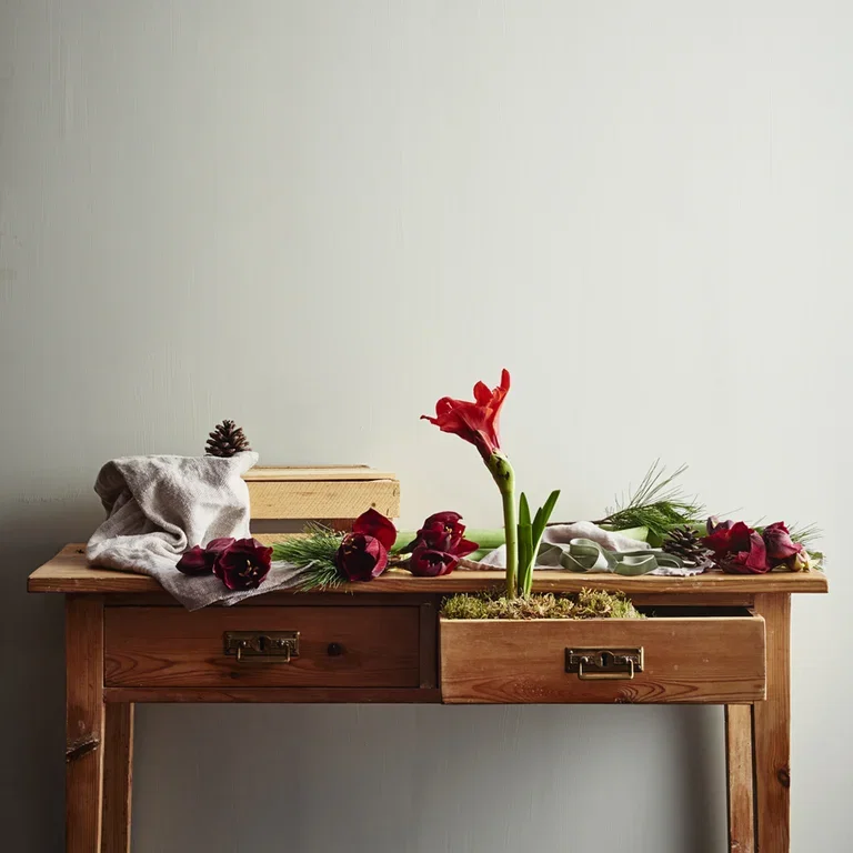 Få amaryllisen til blomstre når du vil 