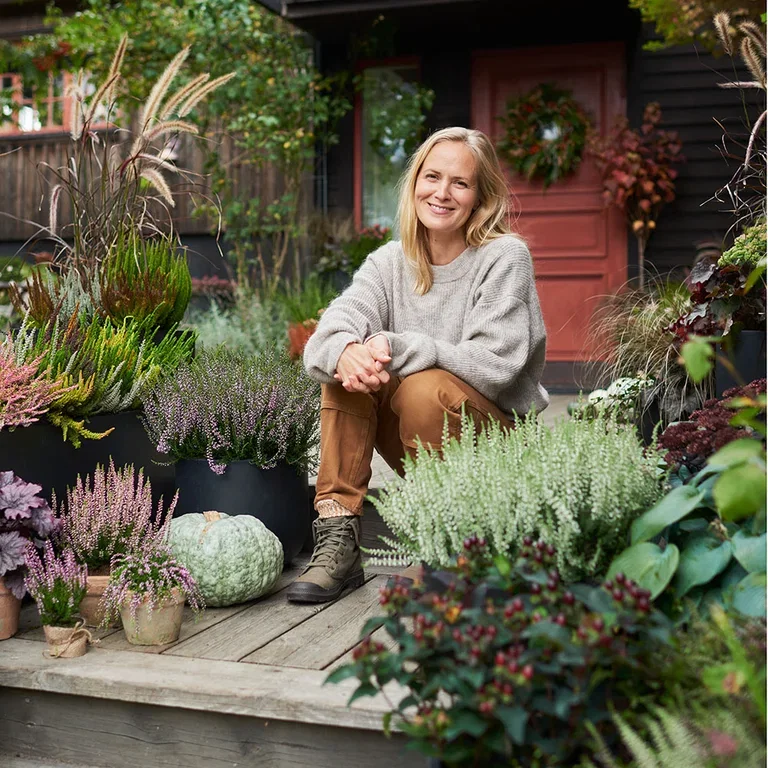 Lyng – planting og stell